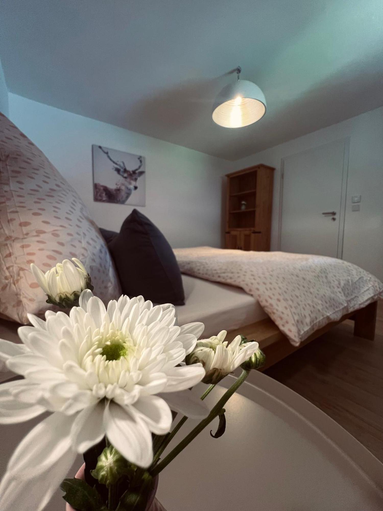Ferienwohnung Leonie Oberau  Dış mekan fotoğraf